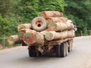 Einer der unzaehligen Holztransporte nach Thailand (unscharf, da bei Fahrt fotografiert)